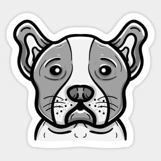 Cute boston terrier dog Sticker